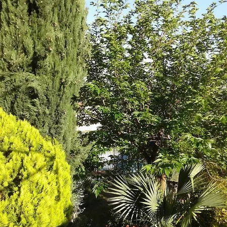 Tatil Evi Petit Nice